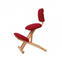 Silla Ergon�mica con Arrodilladero+Respaldo